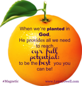 Focusing on drawing from God and His word, we can reach the fullest potential He planted us for. We can grow into a person who is bearing fruit as today verse mentions – fruit that will last.