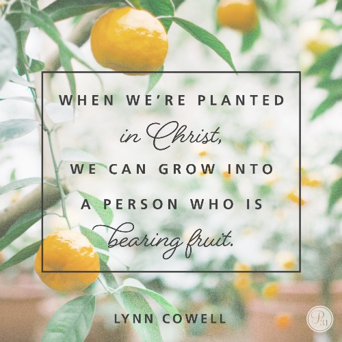 When we are planted in God, He provides all we need to reach our fullest potential. 