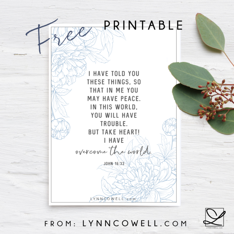 {Freebie} An Anchor for our Confidence